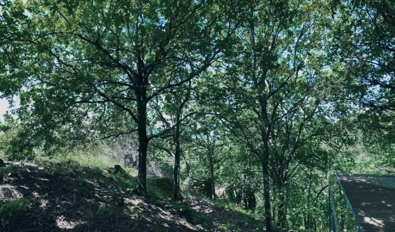 Oak Nature Vieira do Minho Exteriör bild